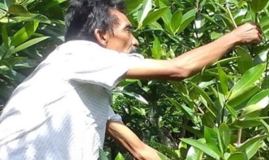 SIAPA BANTU PEDULI ?! Relawan selamatkan lingkungan Tanam Ribuan Mangrove