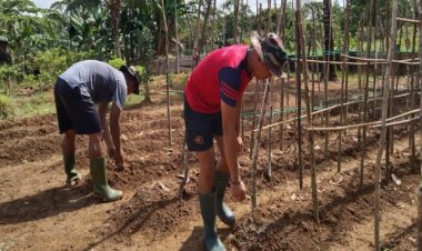 Satgas Yonif 143/TWEJ Sulap Lahan Kosong Jadi Kebun Sayur