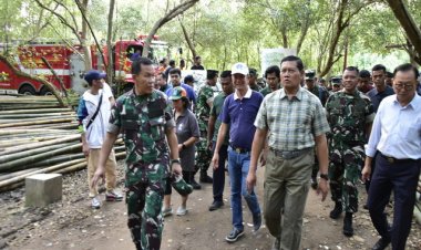 Panglima TNI Tinjau Gladi Bersih Penanaman Mangrove Nasional