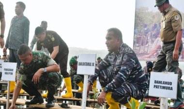 Peduli Pelestarian Biota Laut Danlantamal IX Sukseskan "Mangrove For Better Life" Yang Dipimpin Presiden Jokowi
