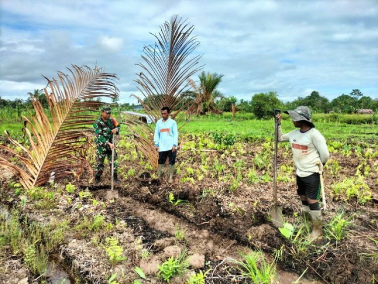 Jalin Silaturahmi Dan Memantau Potensi Di Wilayah, Babinsa Koramil 1710-07/Mapurujaya Laksanakan Komsos Dengan Petani Di Wilayah Binaan