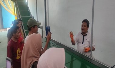 Kata Para Ahli, Mesin Pengolahan Umbi Porang di Pandeglang Sudah Standar Ekspor