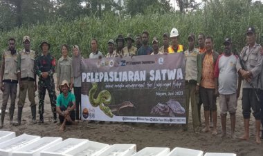 Jaga Kelestarian Dari Kepunahan, Danramil 1710-03/Kuala Kencana Hadir Sekaligus Pengamanan Kegiatan Pelepasliaran Satwa