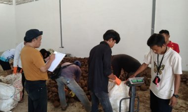 Sesudah Uji Mesin SIKM Porang, Sampai Sekarang Belum Beroprasi