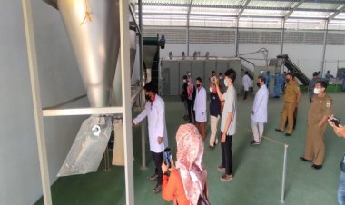 Kaitan SIKM Porang, Kebijakan Pemda Pandeglang Berikan Janji Palsu Pada IKM