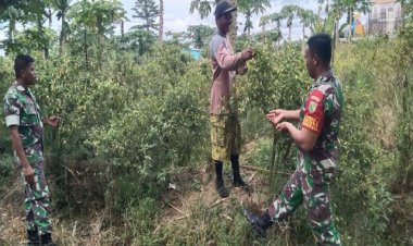 Tingkatkan Ketahanan Pangan Wilayah, Babinsa Koramil 1710-02/Timika Laksanakan Pendampingan Kepada Petani Binaan
