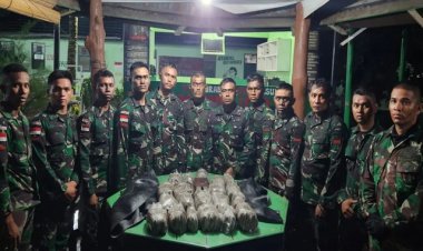 TNI Kembali Gagalkan Penyelundupan Ganja di Perbatasan RI-PNG