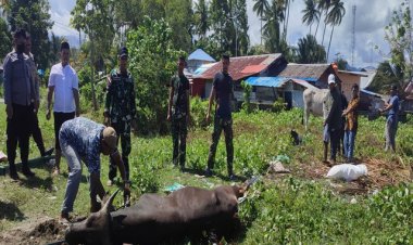 Satgas Yonarmed 1 Kostrad Ramaikan Perayaan Idul Adha Di Daerah Penugasan