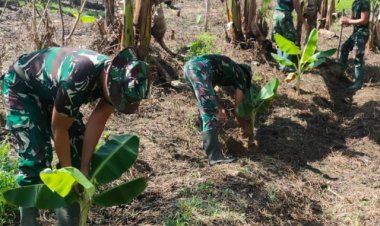 Wujudkan Ketahanan Pangan, Satgas Yonif 143/TWEJ Buka Kebun Bersama di Papua