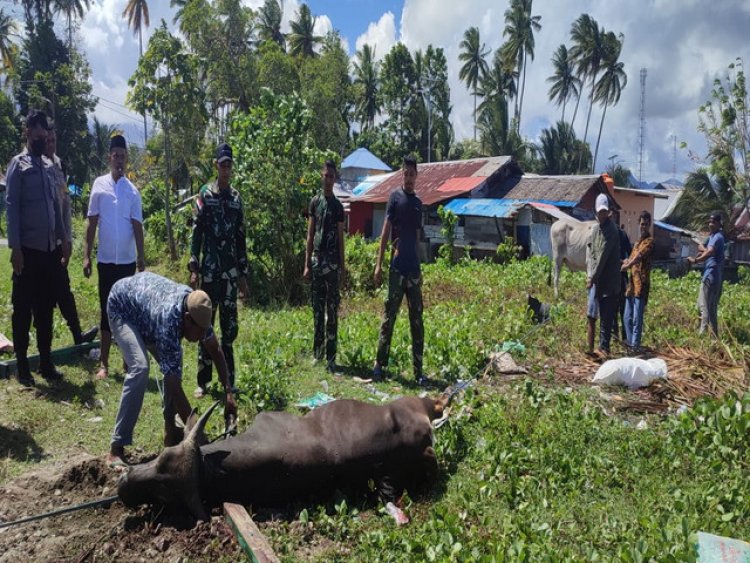 Satgas Yonarmed 1 Kostrad Ramaikan Perayaan Idul Adha Di Daerah Penugasan