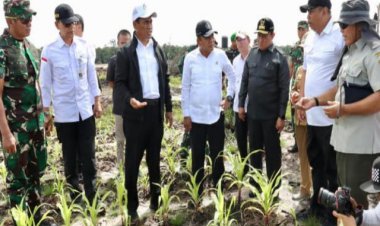 Berkunjung ke Palangka Raya, Wamenhan M. Herindra Tinjau Lokasi Food Estate 