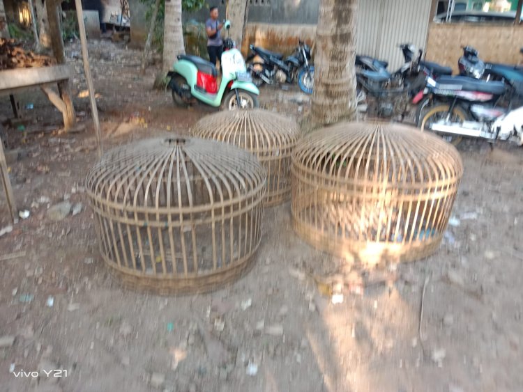 Meresahkan Warga, Judi Sabung Ayam di Gerebeg Polsek Cikedal