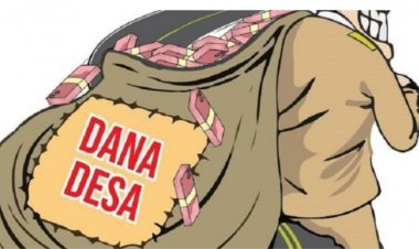 Inspektorat di minta Audit benar-benar Dana Desa (DD) Cikadongdong Kecamatan Cikesik Kabupaten Pandeglang