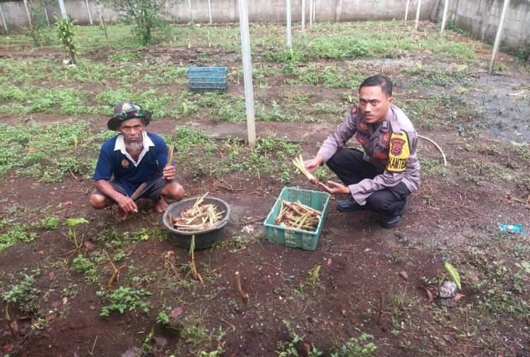 Bhabinkamtibmas Polsek Cikedal Polres Pandeglang Aktif Sosialisaikan Program Ketahanan Pangan