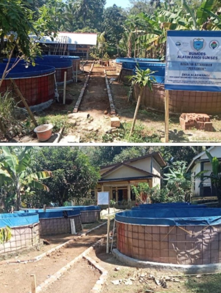 Realisasi Ketapang BUMDes Alas Wangi Sukses Diduga Di Manipulasi, DPC GWI Minta Diaudit Inspektorat