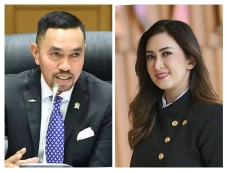 NasDem Nonaktifkan Ahmad Syahroni dan Nafa Urbach dari DPR RI