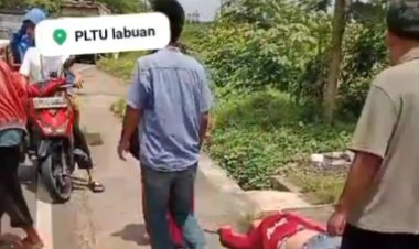 Kecelakaan Adu Kebo di Depan PLTU 2 Labuan, Dua Orang Luka-Luka