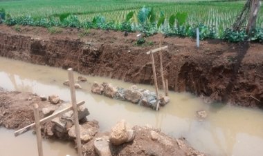 Aroma Ketidakberesan di Proyek Irigasi Cukang Sadang — Pengesub Akui Gunakan Batu Bekas
