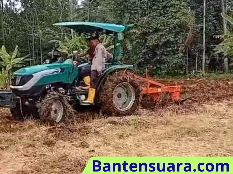 Polsek Cikedal Gandeng Petani Muda Binaan, Buka Lahan Jagung 2 Hektare