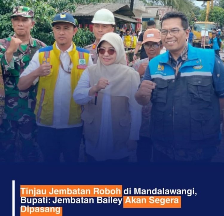 Pemkab Pandeglang Tinjau Jembatan Roboh di Mandalawangi, Bupati: Jembatan Bailey Segera Dipasang