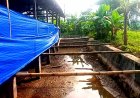 Program Tak Kunjung Produksi  Diduga Dana Ratusan Juta Mengendap, Ini Kata Camat Pagelaran