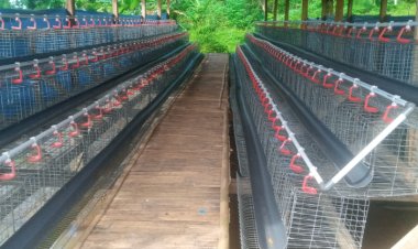 BUMDes "Berkah Sari" Senangsari Mandek, Diduga Dana Rp154 Juta Mengendap, Program Tak Kunjung Berproduksi