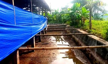 Program Tak Kunjung Produksi  Diduga Dana Ratusan Juta Mengendap, Ini Kata Camat Pagelaran