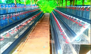 Program Tak Kunjung Produksi  Diduga Dana Ratusan Juta Mengendap, Ini Kata Camat Pagelaran