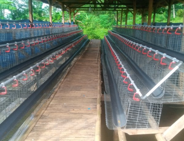 BUMDes "Berkah Sari" Senangsari Mandek, Diduga Dana Rp154 Juta Mengendap, Program Tak Kunjung Berproduksi