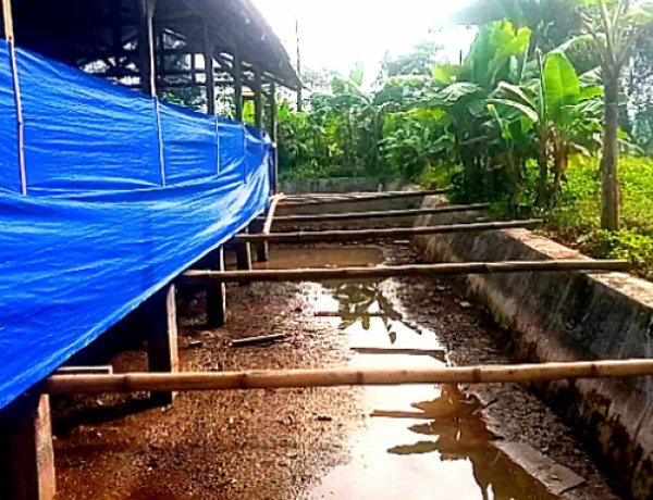 Program Tak Kunjung Produksi  Diduga Dana Ratusan Juta Mengendap, Ini Kata Camat Pagelaran