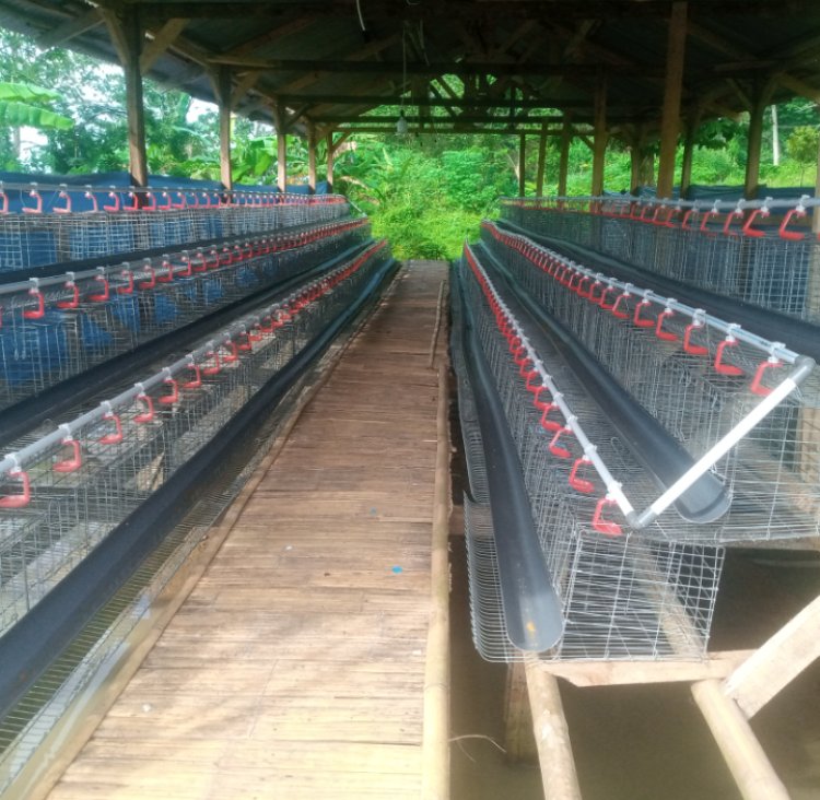 BUMDes "Berkah Sari" Senangsari Mandek, Diduga Dana Rp154 Juta Mengendap, Program Tak Kunjung Berproduksi