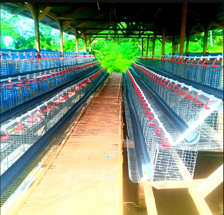 Program Tak Kunjung Produksi  Diduga Dana Ratusan Juta Mengendap, Ini Kata Camat Pagelaran