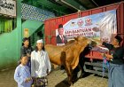 Semarak Gema Takbir, Santri MALNU Bonjer Menes Antusias Sambut Sapi Qurban dari Presiden Prabowo