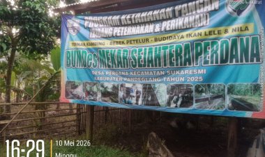 BumDesa Perdana di Soal, Pengurus Saling Tuding