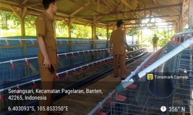 Diduga Fiktif dan Mangkrak Program KETAPANG 2025  Di Pagelaran Disorot, Tim Monev: Seharusnya Sudah Berjalan