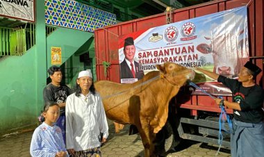 Semarak Gema Takbir, Santri MALNU Bonjer Menes Antusias Sambut Sapi Qurban dari Presiden Prabowo