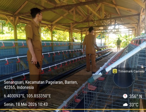Diduga Fiktif dan Mangkrak Program KETAPANG 2025  Di Pagelaran Disorot, Tim Monev: Seharusnya Sudah Berjalan