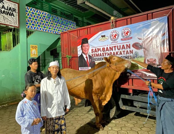 Semarak Gema Takbir, Santri MALNU Bonjer Menes Antusias Sambut Sapi Qurban dari Presiden Prabowo