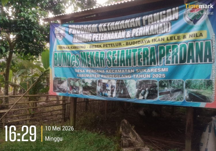 BumDesa Perdana di Soal, Pengurus Saling Tuding