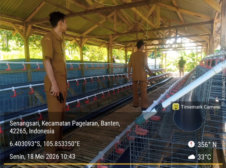 Diduga Fiktif dan Mangkrak Program KETAPANG 2025  Di Pagelaran Disorot, Tim Monev: Seharusnya Sudah Berjalan