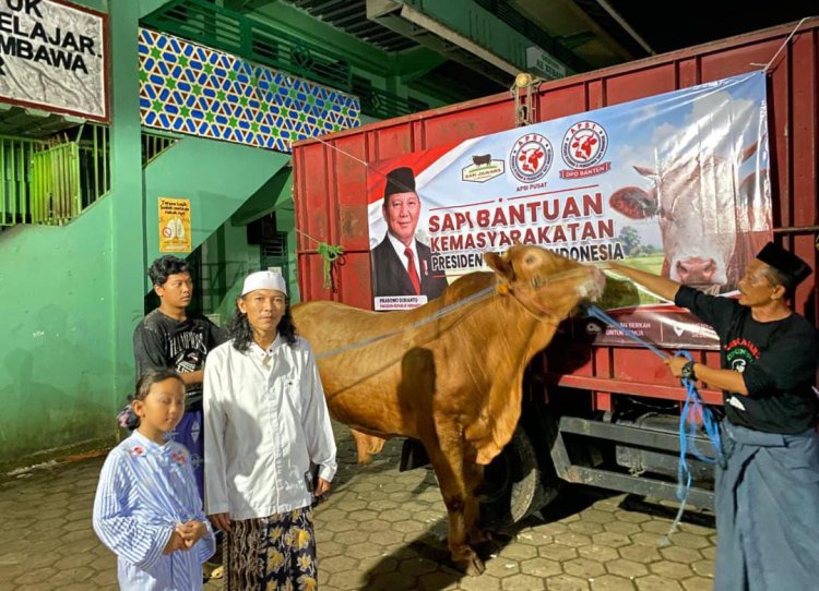 Semarak Gema Takbir, Santri MALNU Bonjer Menes Antusias Sambut Sapi Qurban dari Presiden Prabowo