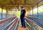 Kontroversi Pengelolaan BUMDES Berkah Sari Kembali Memanas, Anggaran ratusan Juta Diduga Lenyap Tanpa Jejak  ‎