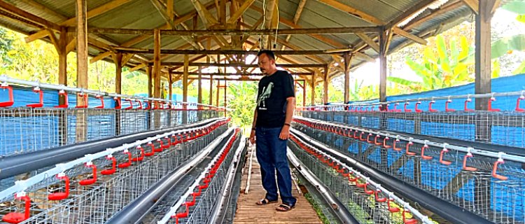 Kontroversi Pengelolaan BUMDES Berkah Sari Kembali Memanas, Anggaran ratusan Juta Diduga Lenyap Tanpa Jejak  ‎