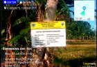 Jalan Poros Desa Turus Terbengkalai: Anggaran Rp48 Juta Sudah Cair, Realisasi Fisik Belum Terlihat  ‎ 