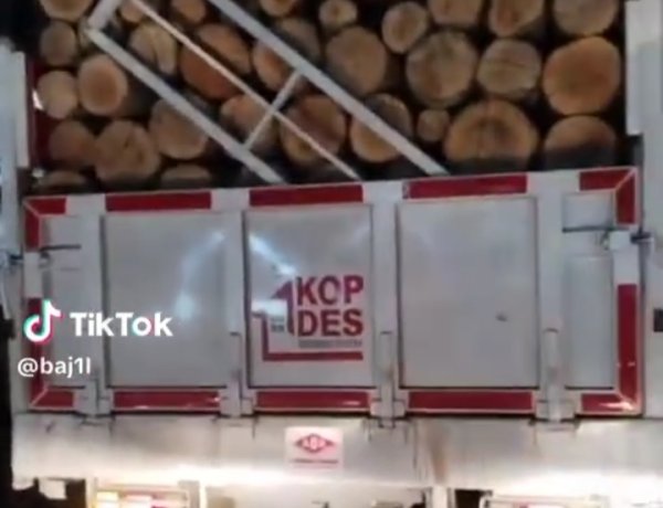 Viral, Di Pandeglang Mobil KDMP Kiarapayung Cibitung Diduga Dipakai Angkut Kayu Pribadi