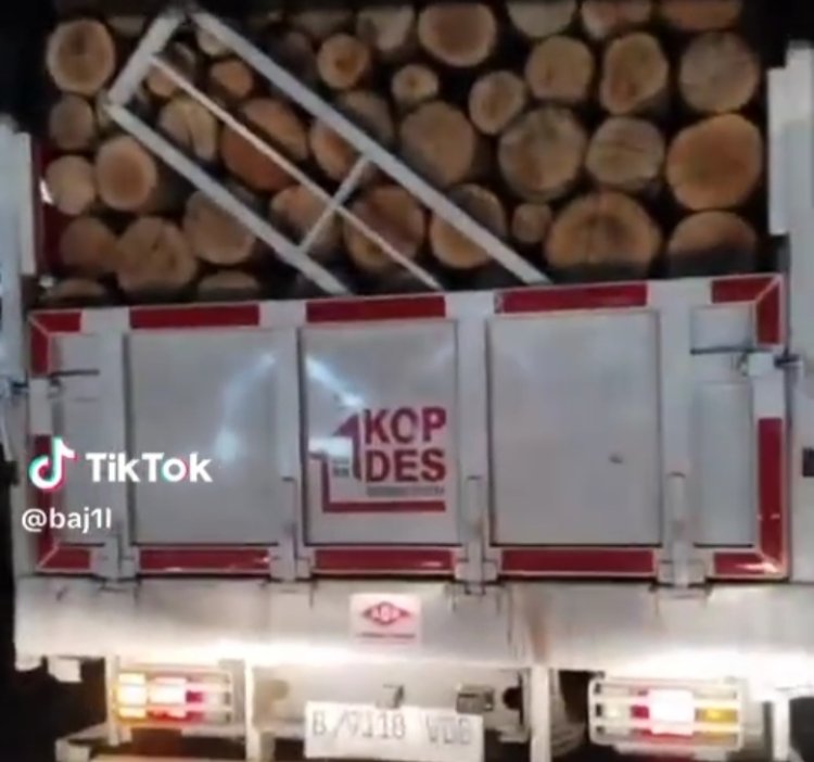 Viral, Di Pandeglang Mobil KDMP Kiarapayung Cibitung Diduga Dipakai Angkut Kayu Pribadi